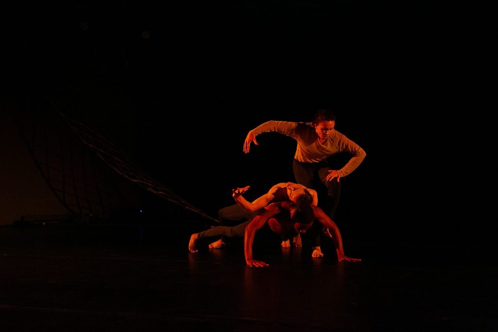 53101161312_1c7766cc31_o