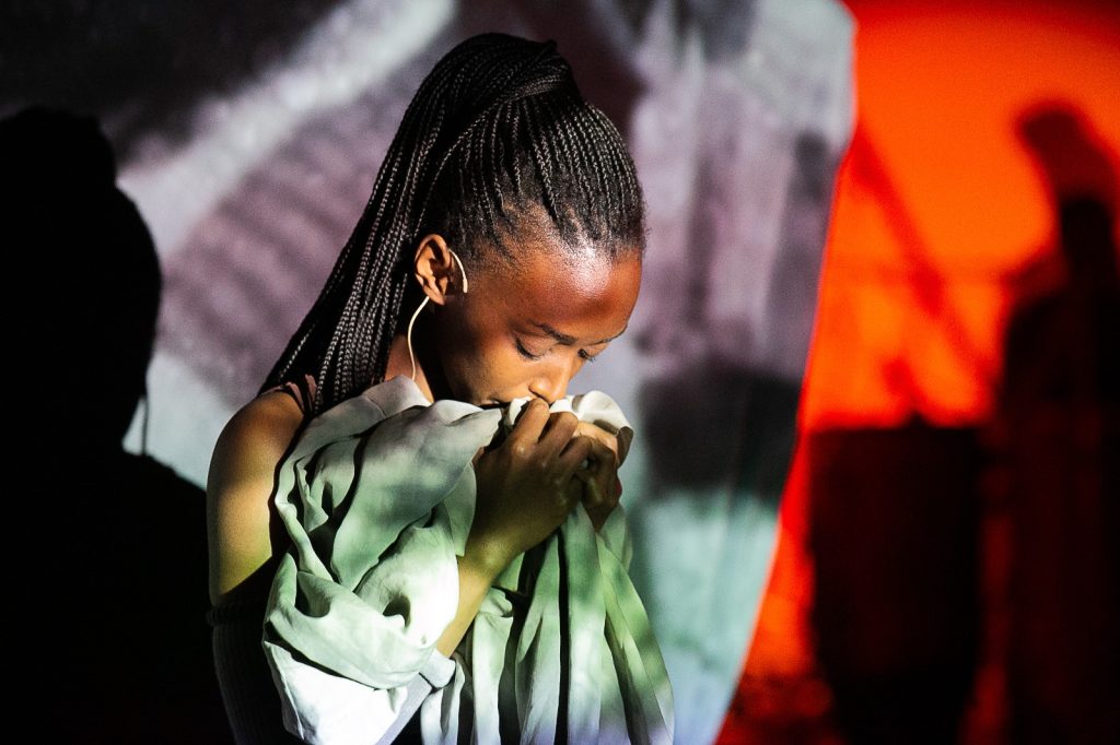 53101906114_e41c7b6ac1_o