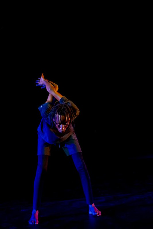 53102135295_6a6e993b28_c